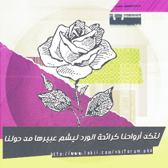 whatsapp bntpal_1432051699_24