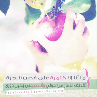 whatsapp bntpal_1432051700_44