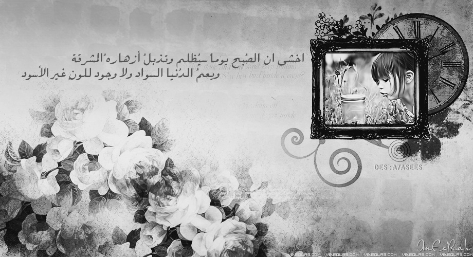   bntpal_1432060687_29