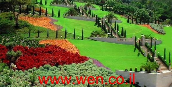  bntpal_1432111089_62