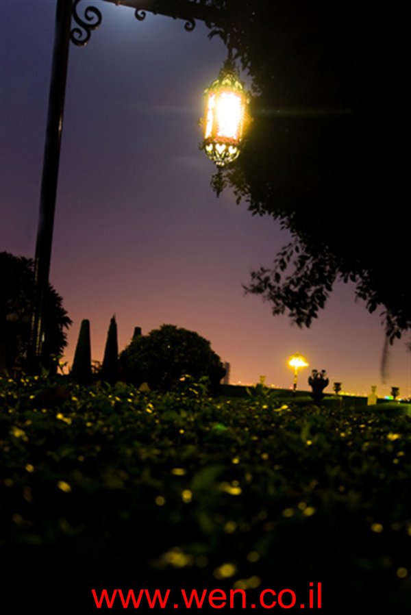  bntpal_1432111101_83