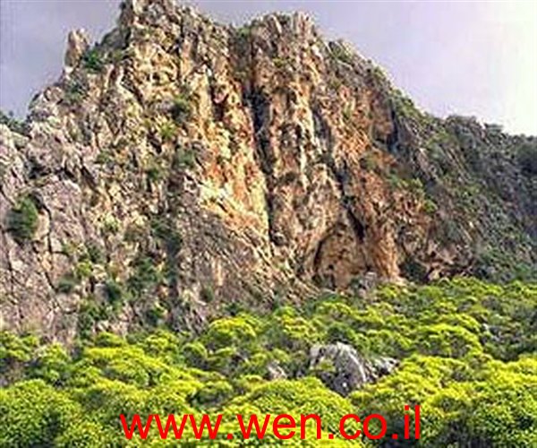  bntpal_1432111118_13