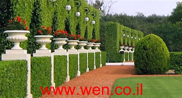  bntpal_1432111121_66