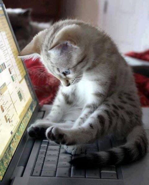 .. ☺ bntpal_1432114681_70