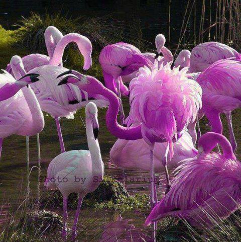 .. ☺ bntpal_1432114686_25