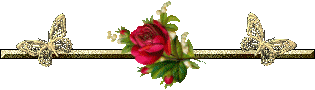 bntpal_1432191944_22