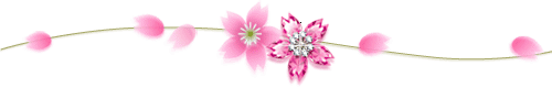bntpal_1432220305_18