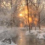 bntpal_1432220762_24