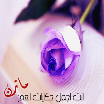 bntpal_1432273262_19