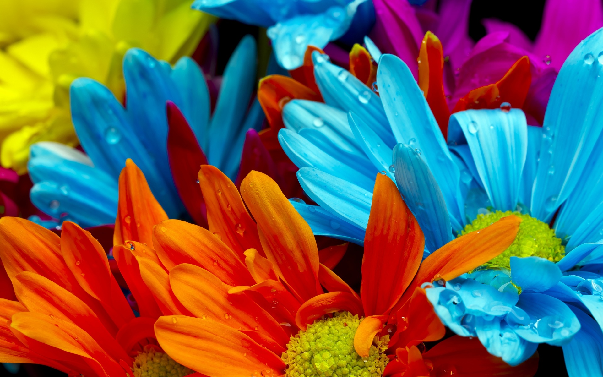  2015 bntpal_1432296544_73