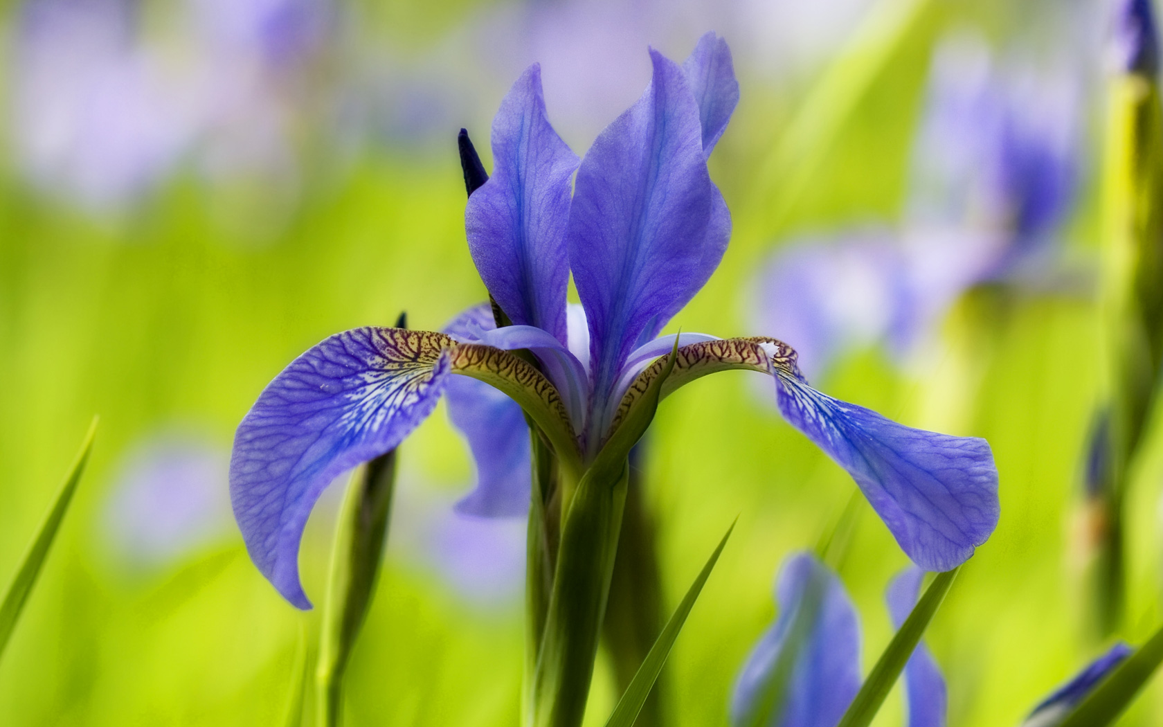  2015 bntpal_1432296551_95