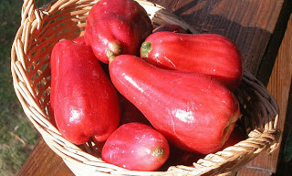  bntpal_1432306676_53