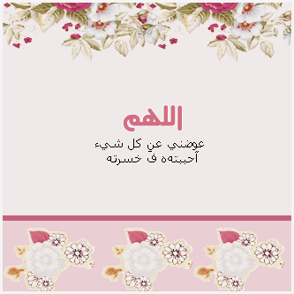 2015 2016 bntpal_1432308861_48