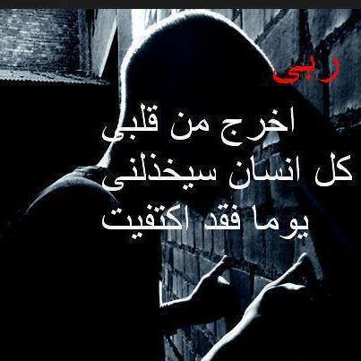 bntpal_1432451818_19