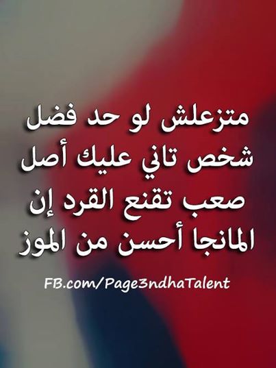 bntpal_1432451824_77