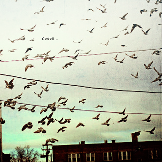  ♥ bntpal_1432459058_11