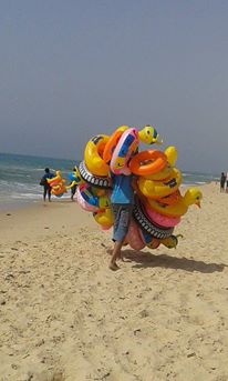     bntpal_1432537224_12