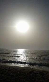     bntpal_1432537226_12