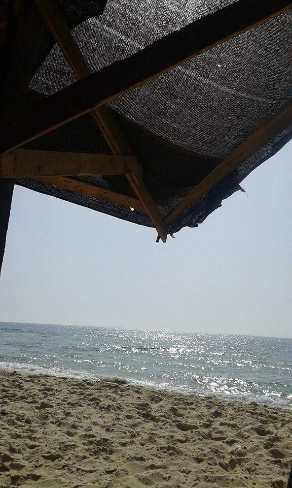     bntpal_1432537228_43
