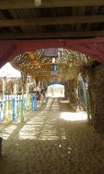     bntpal_1432537230_93