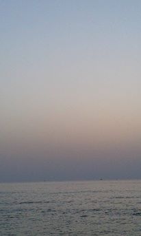     bntpal_1432537232_51