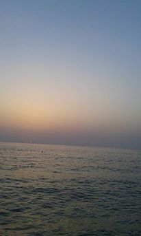    bntpal_1432537233_72