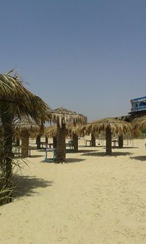    bntpal_1432537235_47