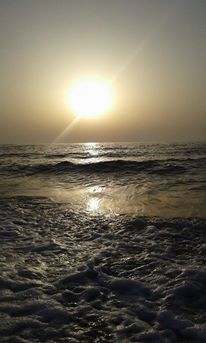     bntpal_1432537236_31