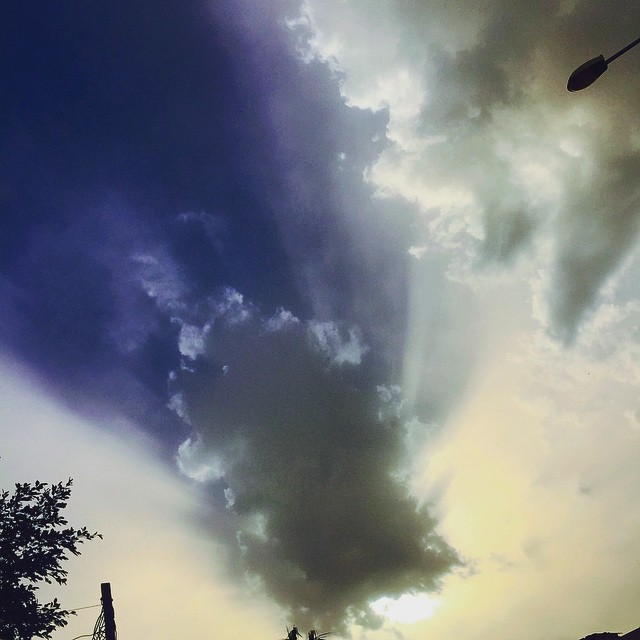     bntpal_1432551203_12