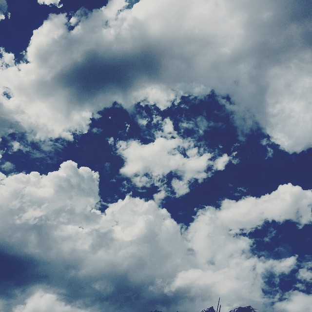     bntpal_1432551203_12