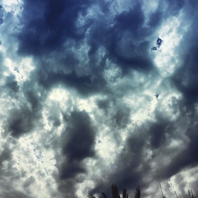     bntpal_1432551203_24