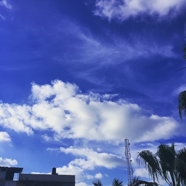     bntpal_1432551203_35