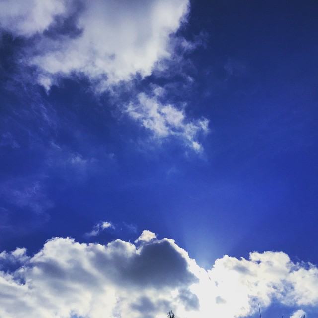     bntpal_1432551203_38