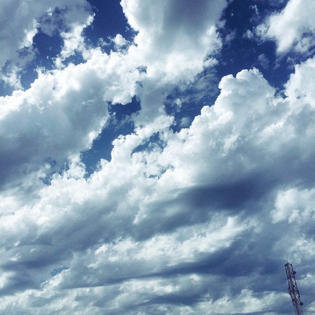     bntpal_1432551203_54