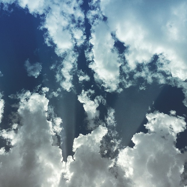     bntpal_1432551203_56