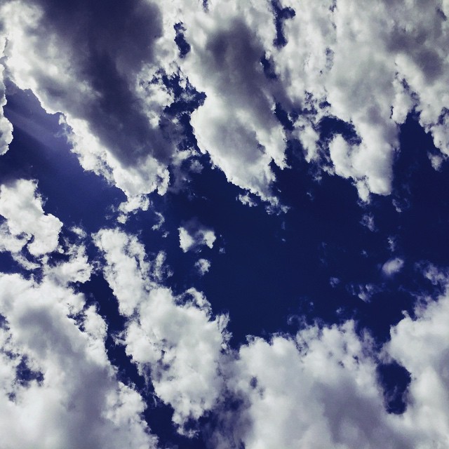     bntpal_1432551203_64