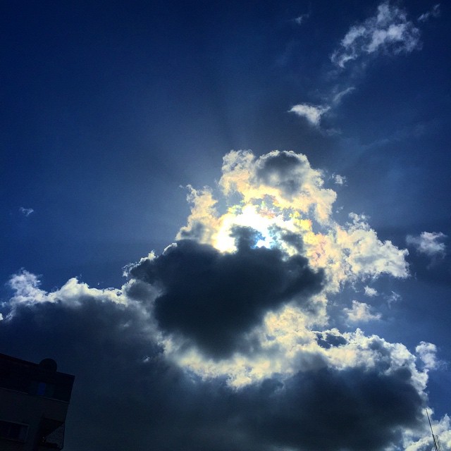    bntpal_1432551204_58