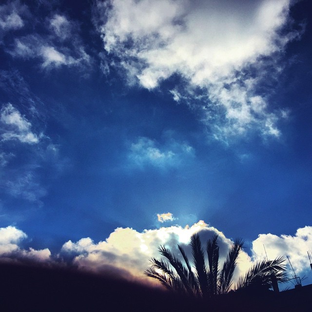    bntpal_1432551204_71