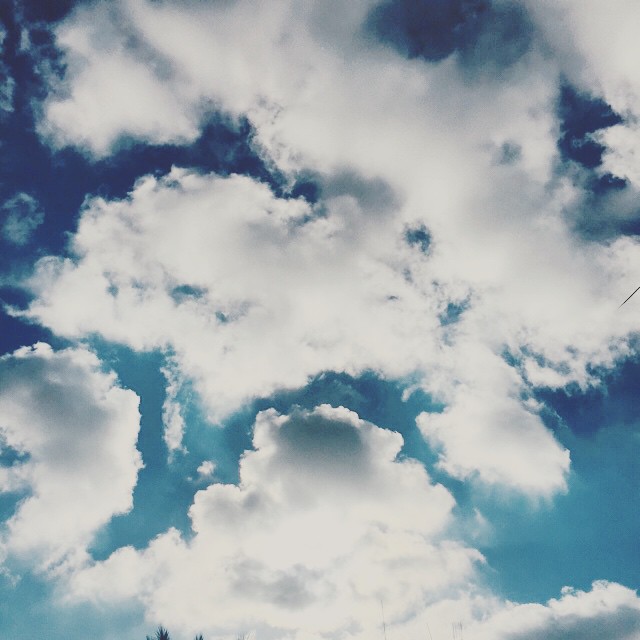     bntpal_1432551204_76