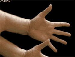 bntpal_1432598874_13