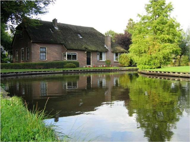  bntpal_1432615310_50