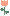  bntpal_1432616157_69