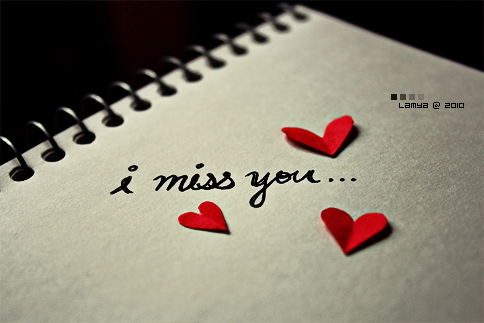 bntpal_1432710939_85