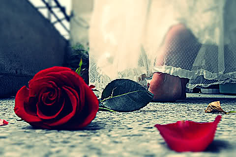 bntpal_1432710940_95