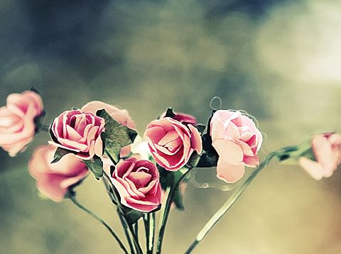bntpal_1432711101_92