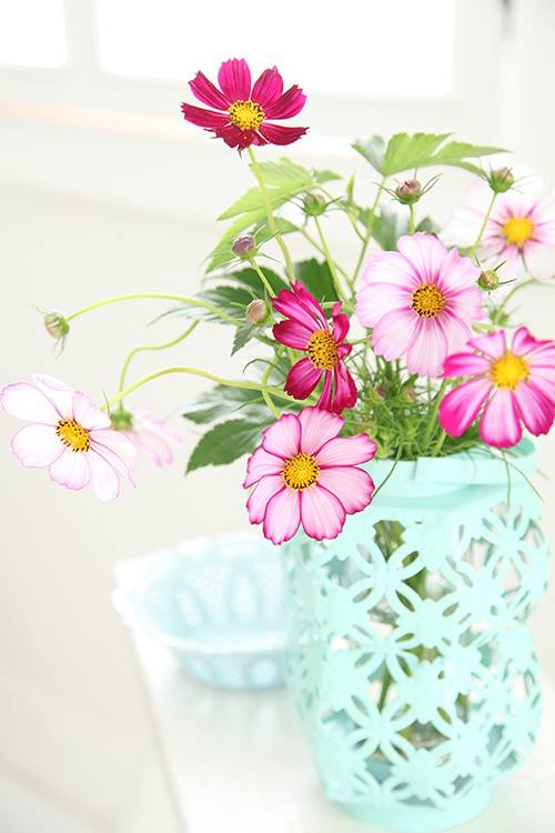 bntpal_1432726635_35