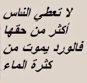 bntpal_1432850699_35