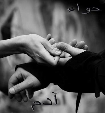 ♥ bntpal_1432888812_17