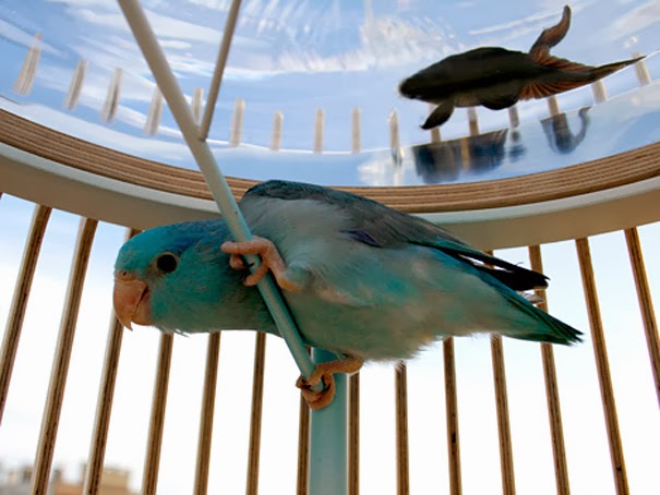 bntpal_1432985955_56