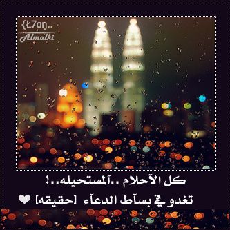  .. bntpal_1433087654_22